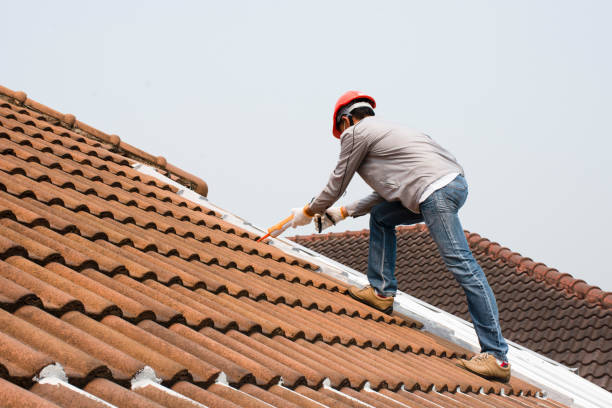 Best Asphalt Shingle Roofing  in Knightsen, CA